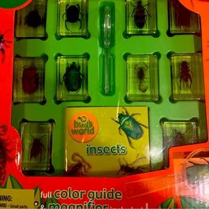 Constructive Playthings Geoworld Bugs World Collection Of 10 Real Insects New.